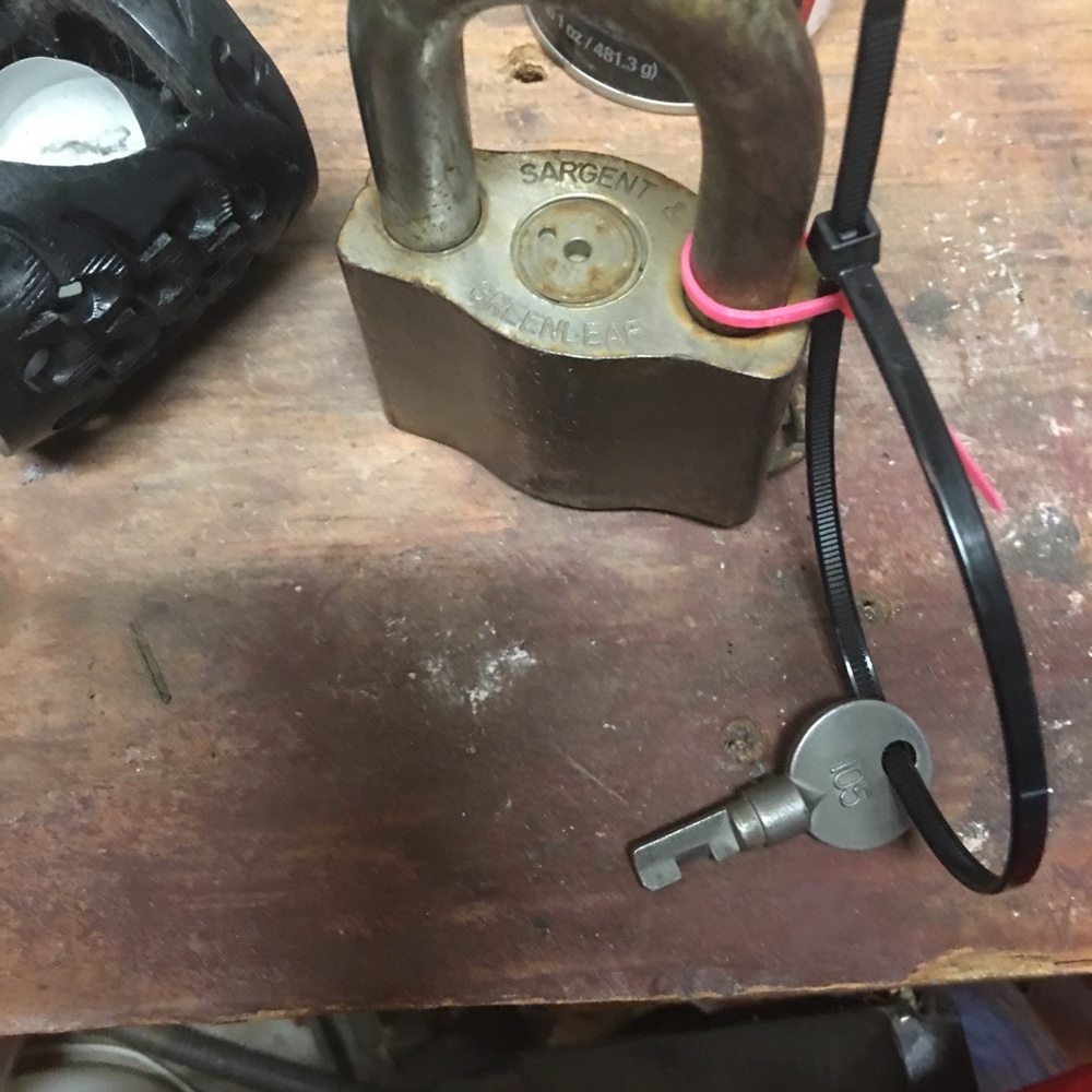 Sargent and Green leaf rare lock